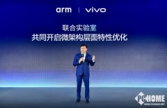 vivo取Arm配合开展基于焦点场景的机能和功耗分